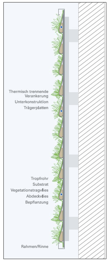 Vertikalbegruenungen
